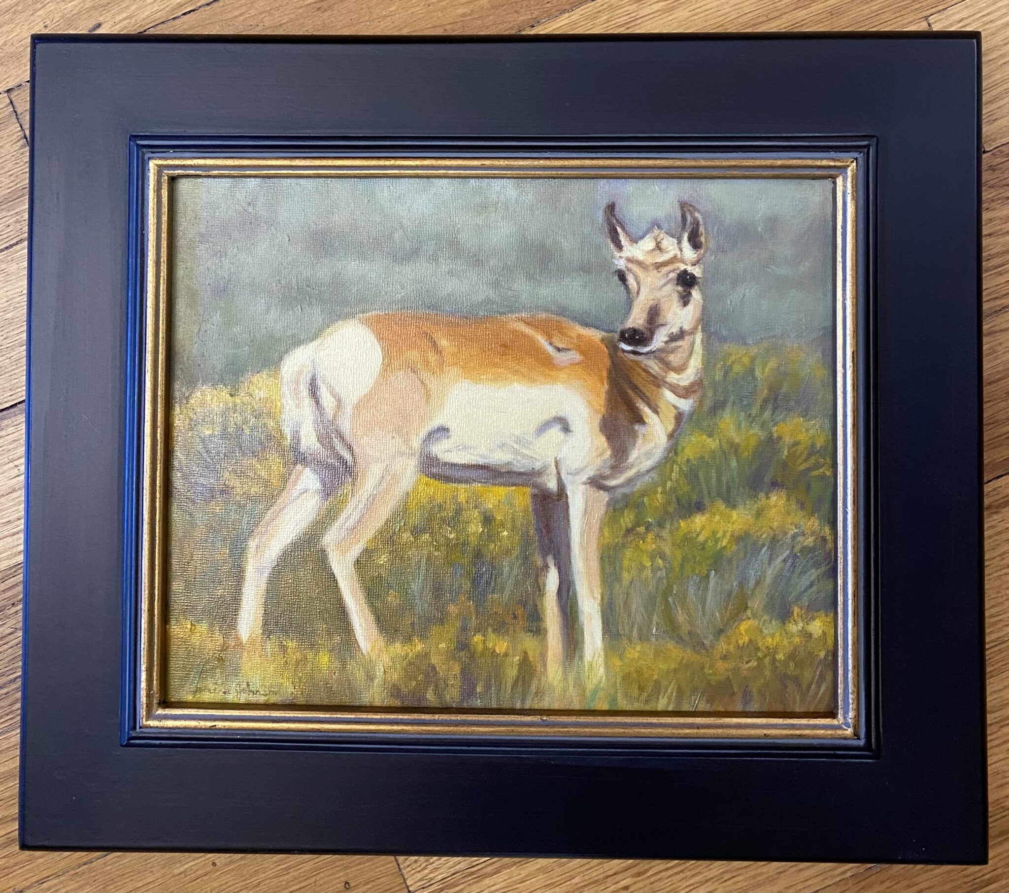 Pronghorn Deselms Fine Art